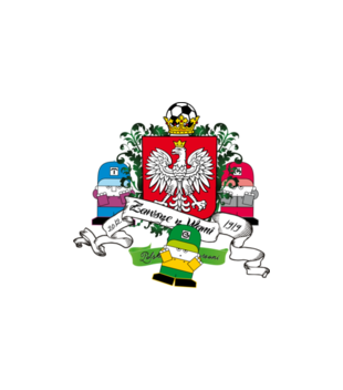 Polska, mój wspaniały kraj - Bluza z nadrukiem - Nasze podwórko - Męska