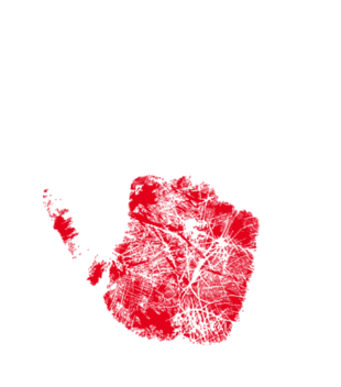 High five, Polaku! - Koszulka z nadrukiem - Patriotyczne - Damska
