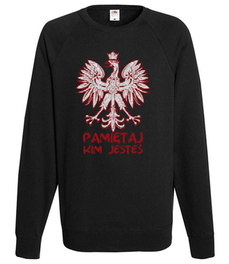 Kto Ty jesteś? - Bluza z nadrukiem - Patriotyczne - Męska