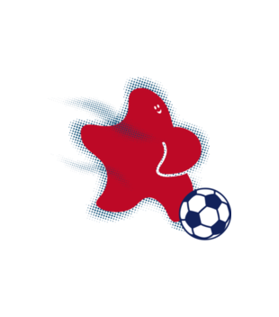 Gwiazda piłki nożnej - Bluza z nadrukiem - Sport - Dziecięca