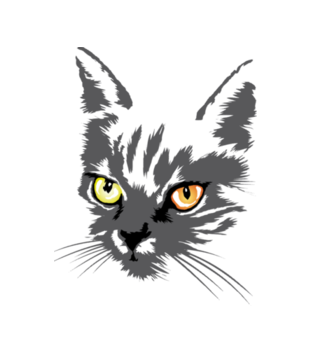 Koszulkowy kitty kat - Koszulka z nadrukiem - Zwierzęta - Dziecięca
