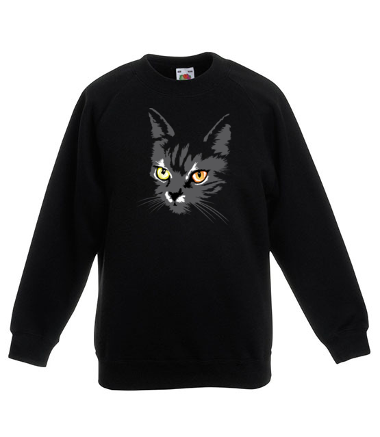 Koszulkowy kitty kat bluza z nadrukiem milosnicy zwierzat dziecko jipi pl 414 124