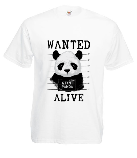 Poszukiwana panda koszulka z nadrukiem zwierzeta mezczyzna jipi pl 416 2