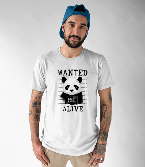 Poszukiwana panda koszulka z nadrukiem zwierzeta mezczyzna jipi pl 416 47