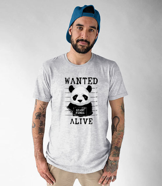 Poszukiwana panda koszulka z nadrukiem zwierzeta mezczyzna jipi pl 416 51