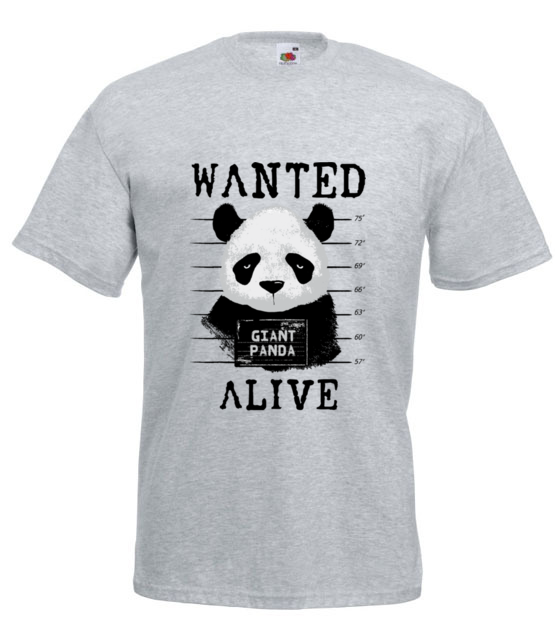 Poszukiwana panda koszulka z nadrukiem zwierzeta mezczyzna jipi pl 416 6