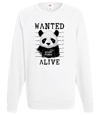 Poszukiwana panda - Bluza z nadrukiem - Miłośnicy Zwierząt - Męska