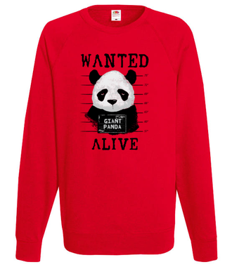 Poszukiwana panda - Bluza z nadrukiem - Miłośnicy Zwierząt - Męska