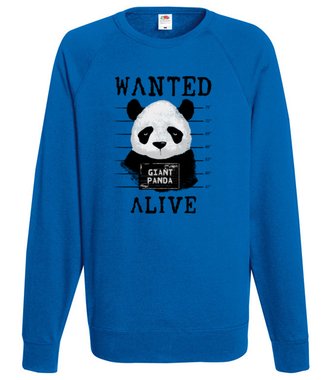 Poszukiwana panda - Bluza z nadrukiem - Zwierzęta - Męska