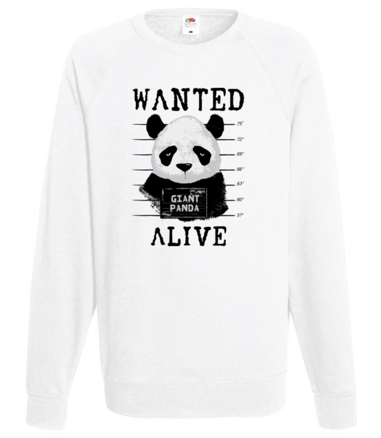 Poszukiwana panda bluza z nadrukiem zwierzeta mezczyzna jipi pl 416 106