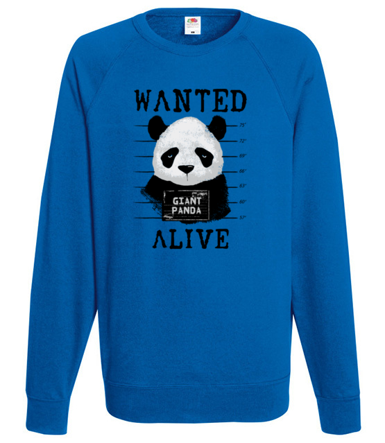 Poszukiwana panda bluza z nadrukiem zwierzeta mezczyzna jipi pl 416 109