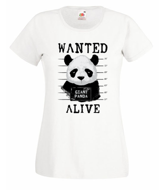 Poszukiwana panda - Koszulka z nadrukiem - Zwierzęta - Damska
