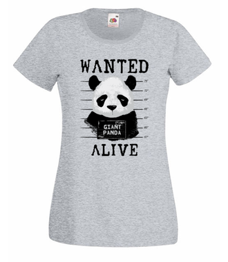 Poszukiwana panda - Koszulka z nadrukiem - Zwierzęta - Damska