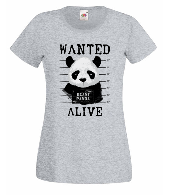Poszukiwana panda koszulka z nadrukiem zwierzeta kobieta jipi pl 416 63