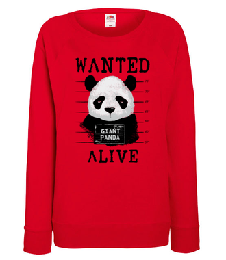 Poszukiwana panda - Bluza z nadrukiem - Zwierzęta - Damska
