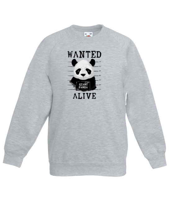 Poszukiwana panda bluza z nadrukiem zwierzeta dziecko jipi pl 416 128