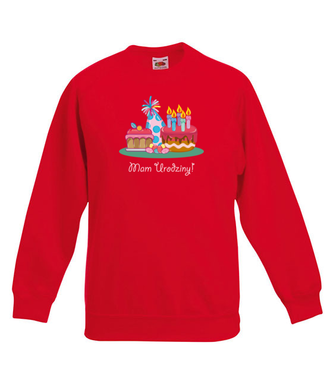 Mam urodziny! - Bluza z nadrukiem - Urodziny - Dziecięca