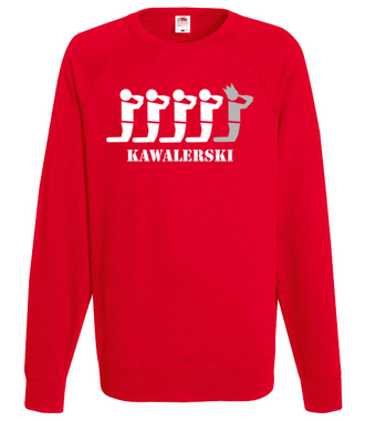Świat kawalerów - Bluza z nadrukiem - Wieczór kawalerski - Męska