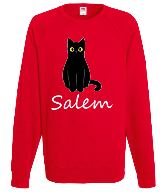 Salem kot z magia bluza z nadrukiem filmy i seriale mezczyzna jipi pl 1062 108