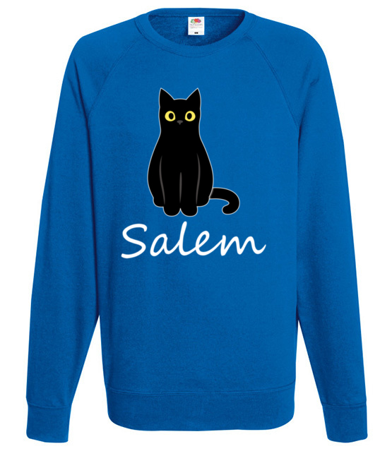 Salem kot z magia bluza z nadrukiem filmy i seriale mezczyzna jipi pl 1062 109