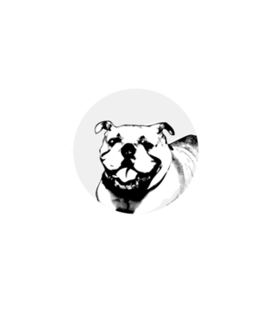 Psia koszulka z humorem - Koszulka z nadrukiem - Miłośnicy Psów - Damska