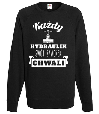Zabawnie i z dużym dystansem - Bluza z nadrukiem - Dla hydraulika - Męska