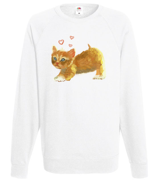 Kotek jak malowany bluza z nadrukiem milosnicy kotow mezczyzna jipi pl 1509 106