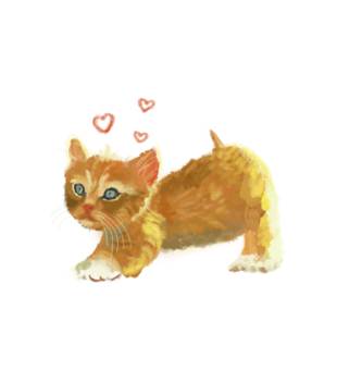Kotek jak malowany - Bluza z nadrukiem - Miłośnicy kotów - Dziecięca