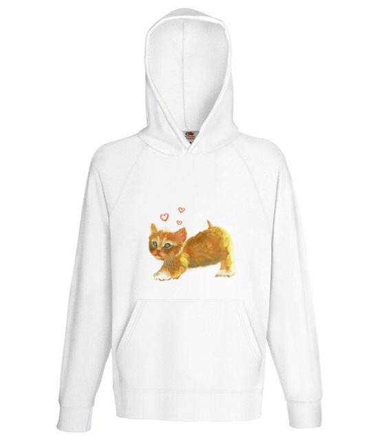 Kotek jak malowany bluza z nadrukiem milosnicy kotow mezczyzna jipi pl 1509 135