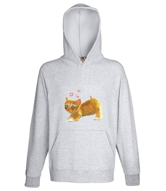 Kotek jak malowany bluza z nadrukiem milosnicy kotow mezczyzna jipi pl 1509 138