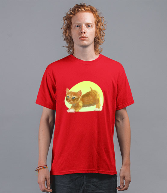Uroczy kotek koszulka z nadrukiem milosnicy kotow mezczyzna jipi pl 1510 42