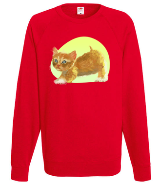 Uroczy kotek - Bluza z nadrukiem - Miłośnicy kotów - Męska