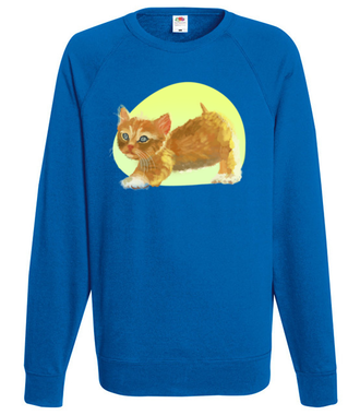 Uroczy kotek - Bluza z nadrukiem - Miłośnicy kotów - Męska