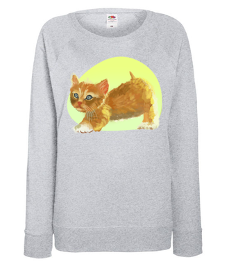 Uroczy kotek - Bluza z nadrukiem - Miłośnicy kotów - Damska