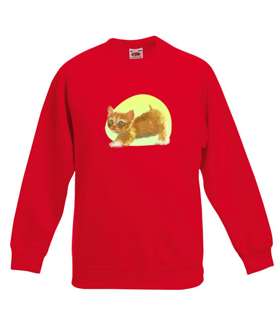 Uroczy kotek bluza z nadrukiem milosnicy kotow dziecko jipi pl 1510 125