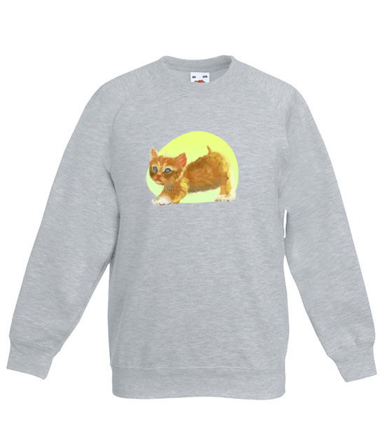 Uroczy kotek bluza z nadrukiem milosnicy kotow dziecko jipi pl 1510 128