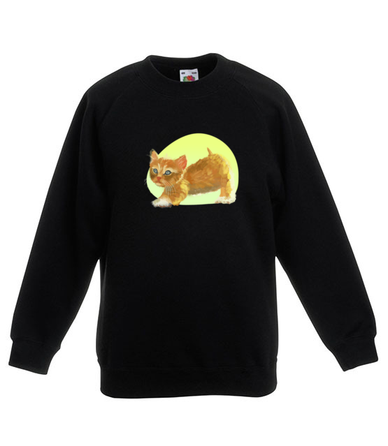 Uroczy kotek bluza z nadrukiem milosnicy kotow dziecko jipi pl 1511 124