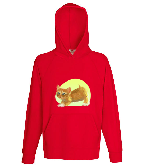 Uroczy kotek bluza z nadrukiem milosnicy kotow mezczyzna jipi pl 1510 136