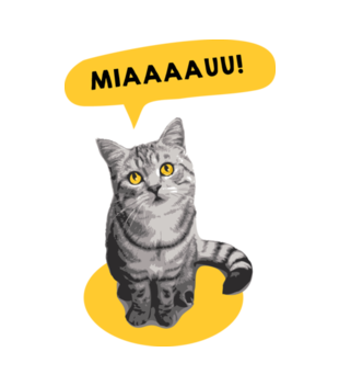 Koci alarm - Koszulka z nadrukiem - Miłośnicy kotów - Damska