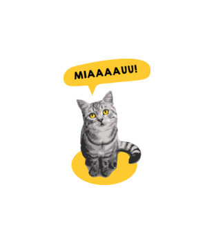 Koci alarm - Bluza z nadrukiem - Miłośnicy kotów - Damska z kapturem