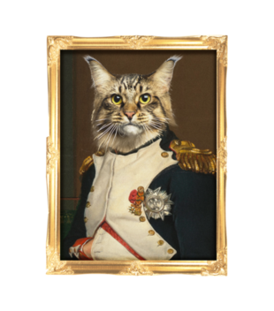 Napoleon Kotaparte - Koszulka z nadrukiem - Miłośnicy kotów - Męska