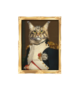 Napoleon Kotaparte - Koszulka z nadrukiem - Miłośnicy kotów - Dziecięca