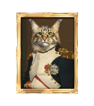 Napoleon Kotaparte - Bluza z nadrukiem - Miłośnicy kotów - Dziecięca