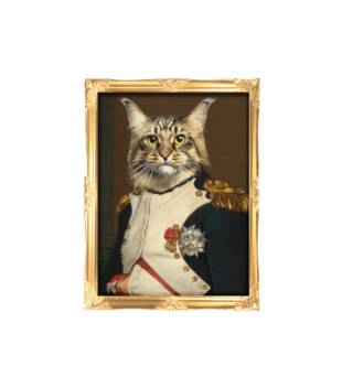 Napoleon Kotaparte - Bluza z nadrukiem - Miłośnicy kotów - Męska z kapturem