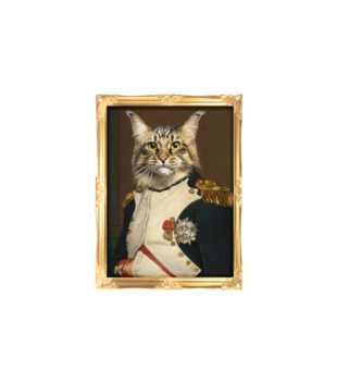 Napoleon Kotaparte - Bluza z nadrukiem - Miłośnicy kotów - Damska z kapturem
