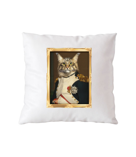 Napoleon kotaparte poduszka z nadrukiem milosnicy kotow gadzety jipi pl 1525 164