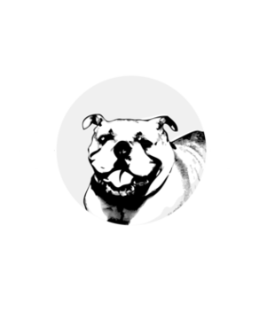 Psia kosc w