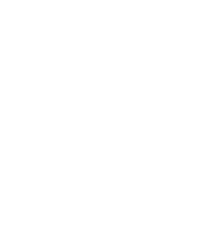 Ewolucja mechanika v2 w