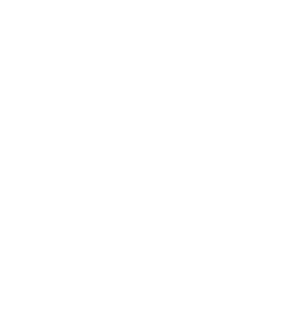 Super elektryk w